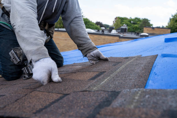 Best Sheet Metal Roofing  in Woodhaven, MI