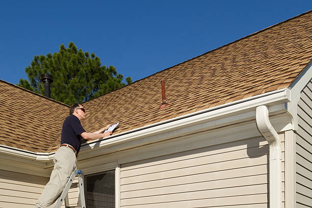 Best Roof Moss and Algae Removal  in Woodhaven, MI