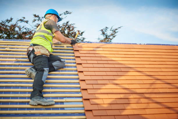 Best Sheet Metal Roofing  in Woodhaven, MI